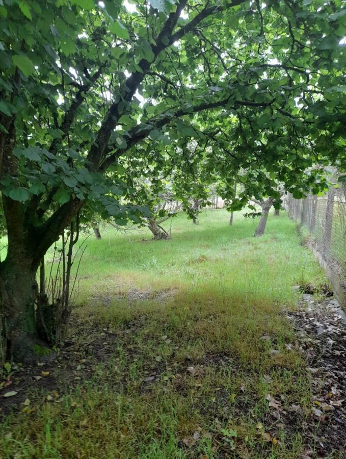 A Casa Dos Avos Villa Celanova Bagian luar foto