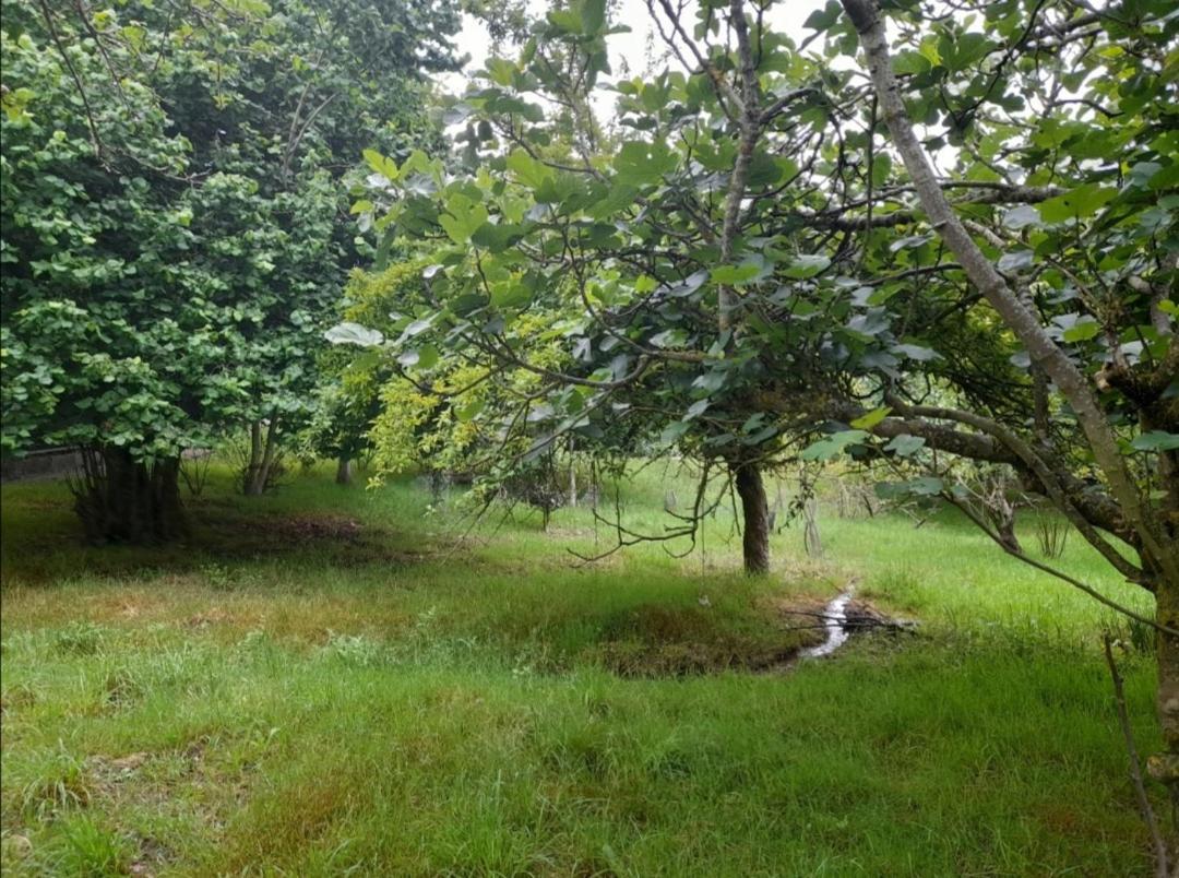 A Casa Dos Avos Villa Celanova Bagian luar foto